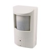 Motion Sensor Video Camera