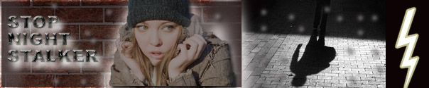 stungun-banner-copy.jpg